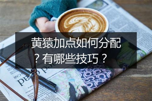 黄猿加点如何分配?有哪些技巧?