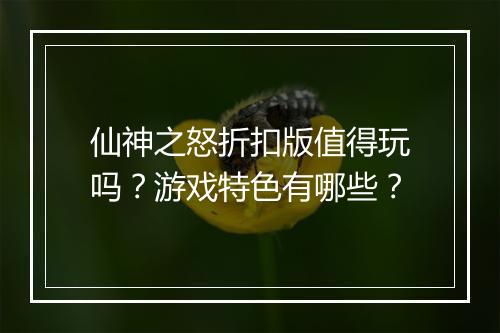 仙神之怒折扣版值得玩吗?游戏特色有哪些?