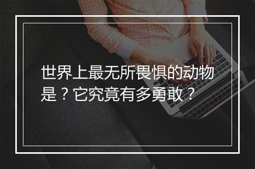 世界上最无所畏惧的动物是？它究竟有多勇敢？