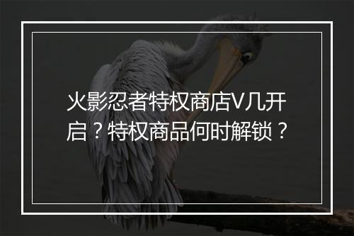 火影忍者特权商店V几开启？特权商品何时解锁？