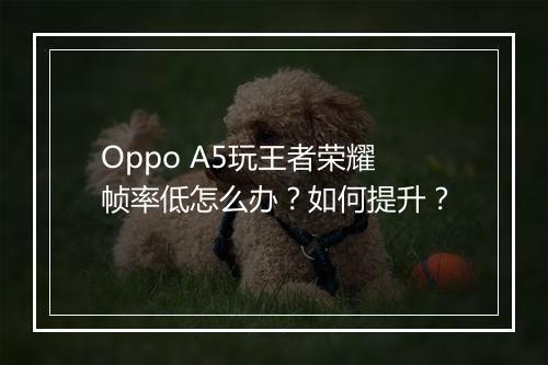 Oppo A5玩王者荣耀帧率低怎么办？如何提升？