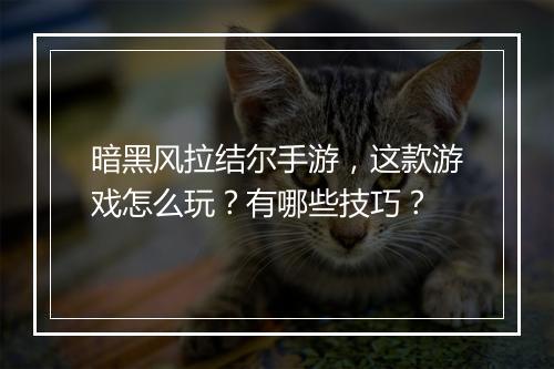 暗黑风拉结尔手游，这款游戏怎么玩？有哪些技巧？