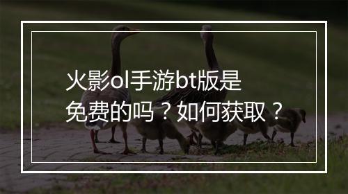 火影ol手游bt版是免费的吗?如何获取?
