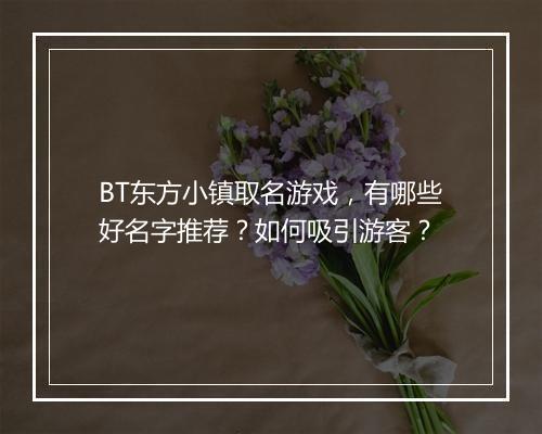 BT东方小镇取名游戏,有哪些好名字推荐?如何吸引游客?