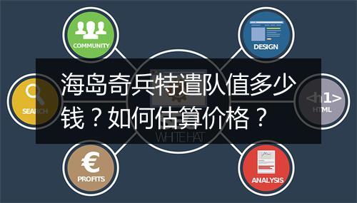 海岛奇兵特遣队值多少钱？如何估算价格？