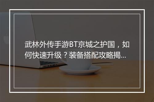 武林外传手游BT京城之护国,如何快速升级?装备搭配攻略揭秘