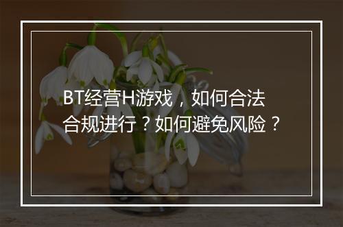 BT经营H游戏,如何合法合规进行?如何避免风险?