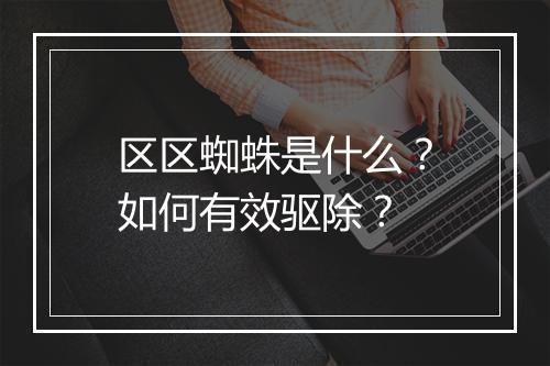 区区蜘蛛是什么?如何有效驱除?