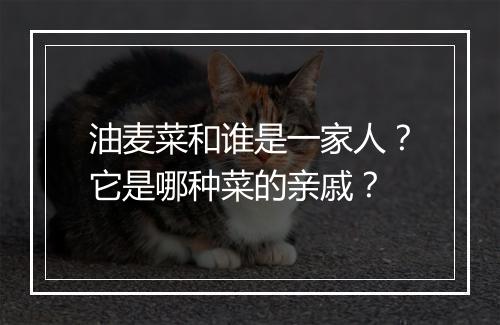 油麦菜和谁是一家人?它是哪种菜的亲戚?