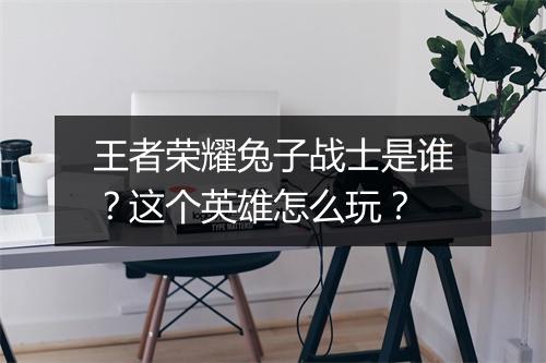 王者荣耀兔子战士是谁？这个英雄怎么玩？