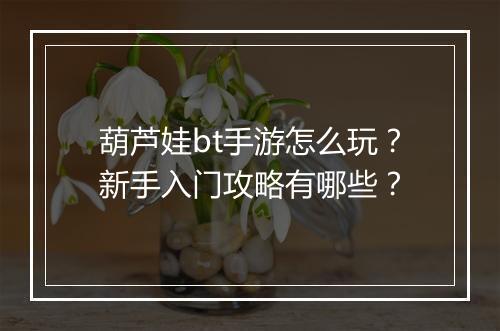 葫芦娃bt手游怎么玩?新手入门攻略有哪些?