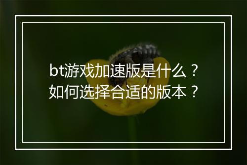 bt游戏加速版是什么?如何选择合适的版本?