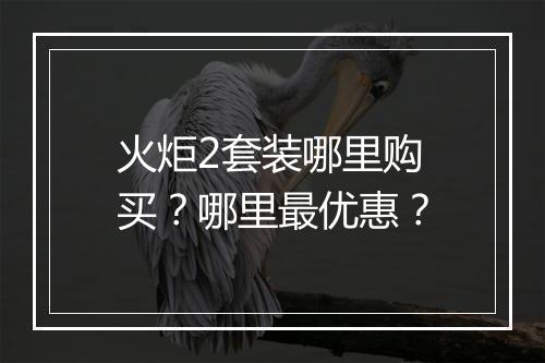 火炬2套装哪里购买?哪里最优惠?