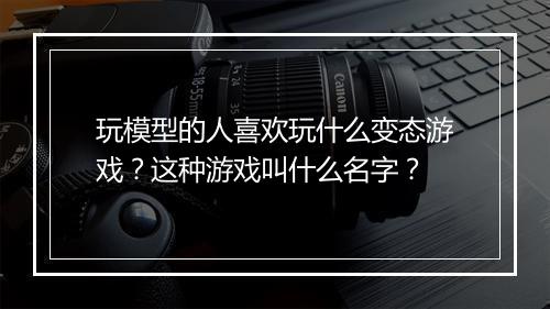 玩模型的人喜欢玩什么变态游戏?这种游戏叫什么名字?