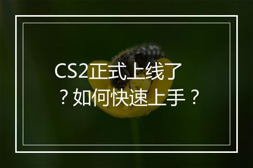 CS2正式上线了?如何快速上手?
