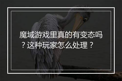 魔域游戏里真的有变态吗？这种玩家怎么处理？