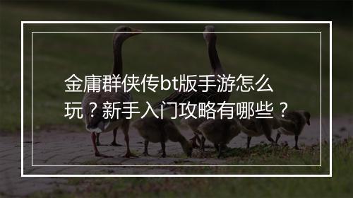 金庸群侠传bt版手游怎么玩?新手入门攻略有哪些?