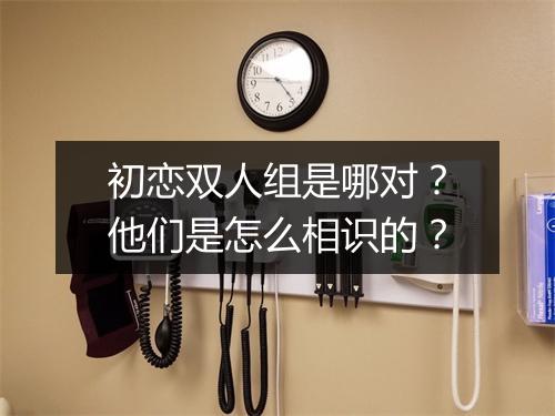 初恋双人组是哪对？他们是怎么相识的？