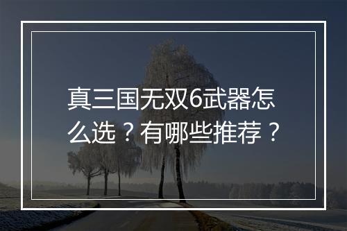 真三国无双6武器怎么选？有哪些推荐？