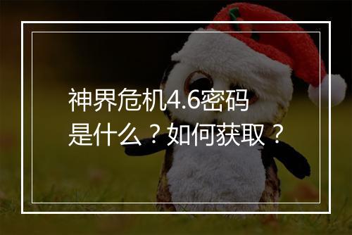 神界危机4.6密码是什么?如何获取?
