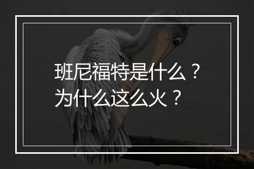 班尼福特是什么?为什么这么火?