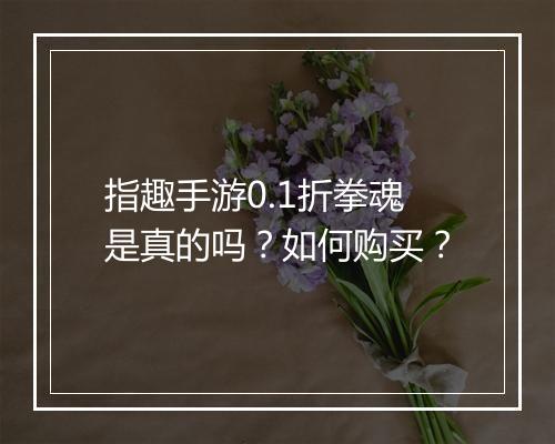 指趣手游0.1折拳魂是真的吗?如何购买?