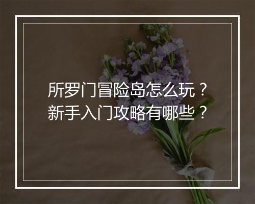 所罗门冒险岛怎么玩?新手入门攻略有哪些?
