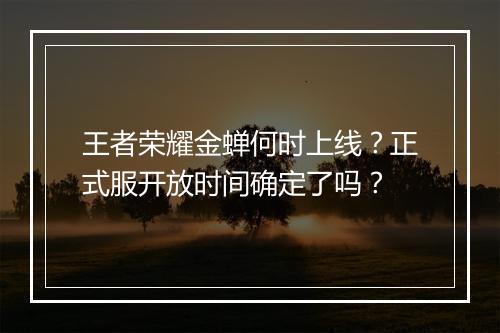 王者荣耀金蝉何时上线?正式服开放时间确定了吗?