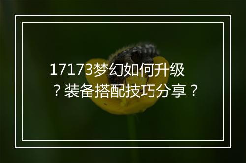 17173梦幻如何升级?装备搭配技巧分享?