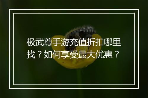极武尊手游充值折扣哪里找?如何享受最大优惠?