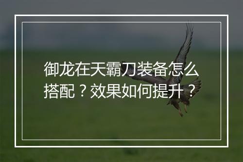 御龙在天霸刀装备怎么搭配?效果如何提升?