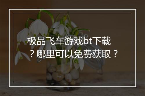 极品飞车游戏bt下载?哪里可以免费获取?