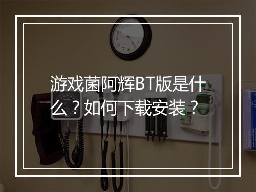 游戏菌阿辉BT版是什么？如何下载安装？