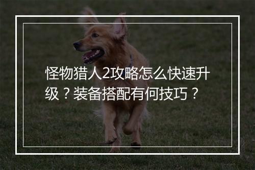 怪物猎人2攻略怎么快速升级?装备搭配有何技巧?