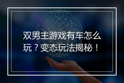 双男主游戏有车怎么玩？变态玩法揭秘！