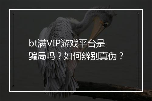 bt满VIP游戏平台是骗局吗?如何辨别真伪?