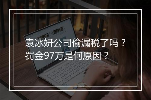 袁冰妍公司偷漏税了吗？罚金97万是何原因？