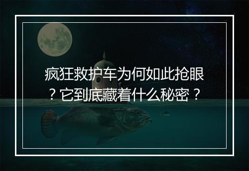 疯狂救护车为何如此抢眼?它到底藏着什么秘密?