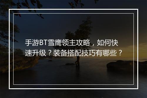 手游BT雪鹰领主攻略,如何快速升级?装备搭配技巧有哪些?
