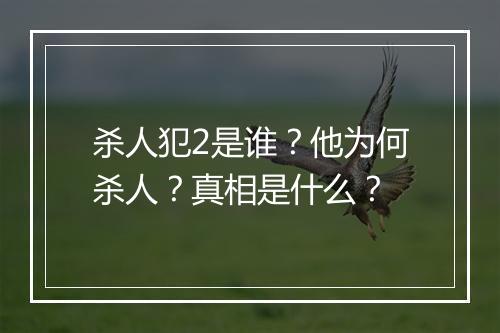 杀人犯2是谁?他为何杀人?真相是什么?
