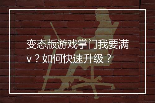 变态版游戏掌门我要满v?如何快速升级?