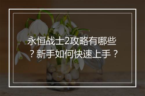 永恒战士2攻略有哪些?新手如何快速上手?