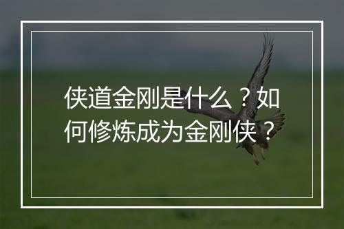 侠道金刚是什么?如何修炼成为金刚侠?