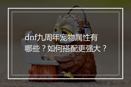 dnf九周年宠物属性有哪些?如何搭配更强大?