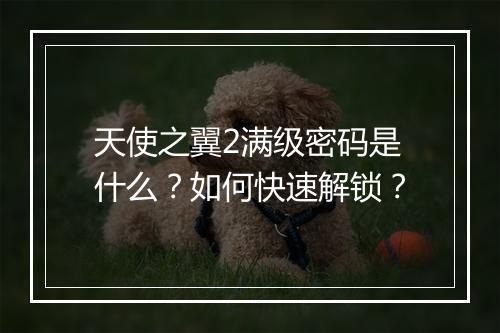 天使之翼2满级密码是什么?如何快速解锁?