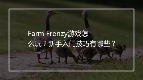 Farm Frenzy游戏怎么玩？新手入门技巧有哪些？