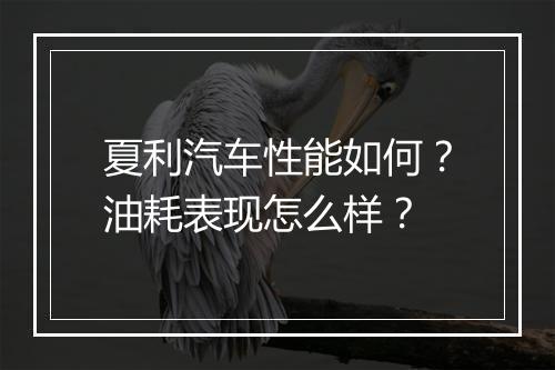 夏利汽车性能如何?油耗表现怎么样?