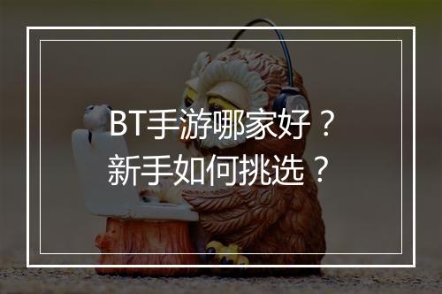 BT手游哪家好？新手如何挑选？