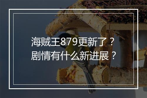 海贼王879更新了?剧情有什么新进展?