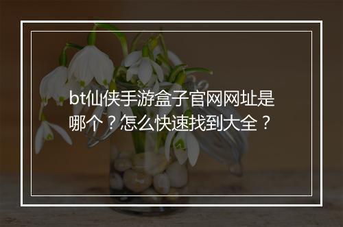 bt仙侠手游盒子官网网址是哪个?怎么快速找到大全?